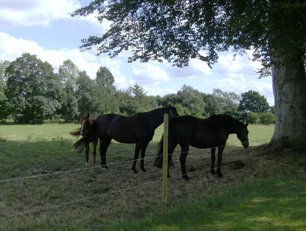 Kro Frøslev 3*